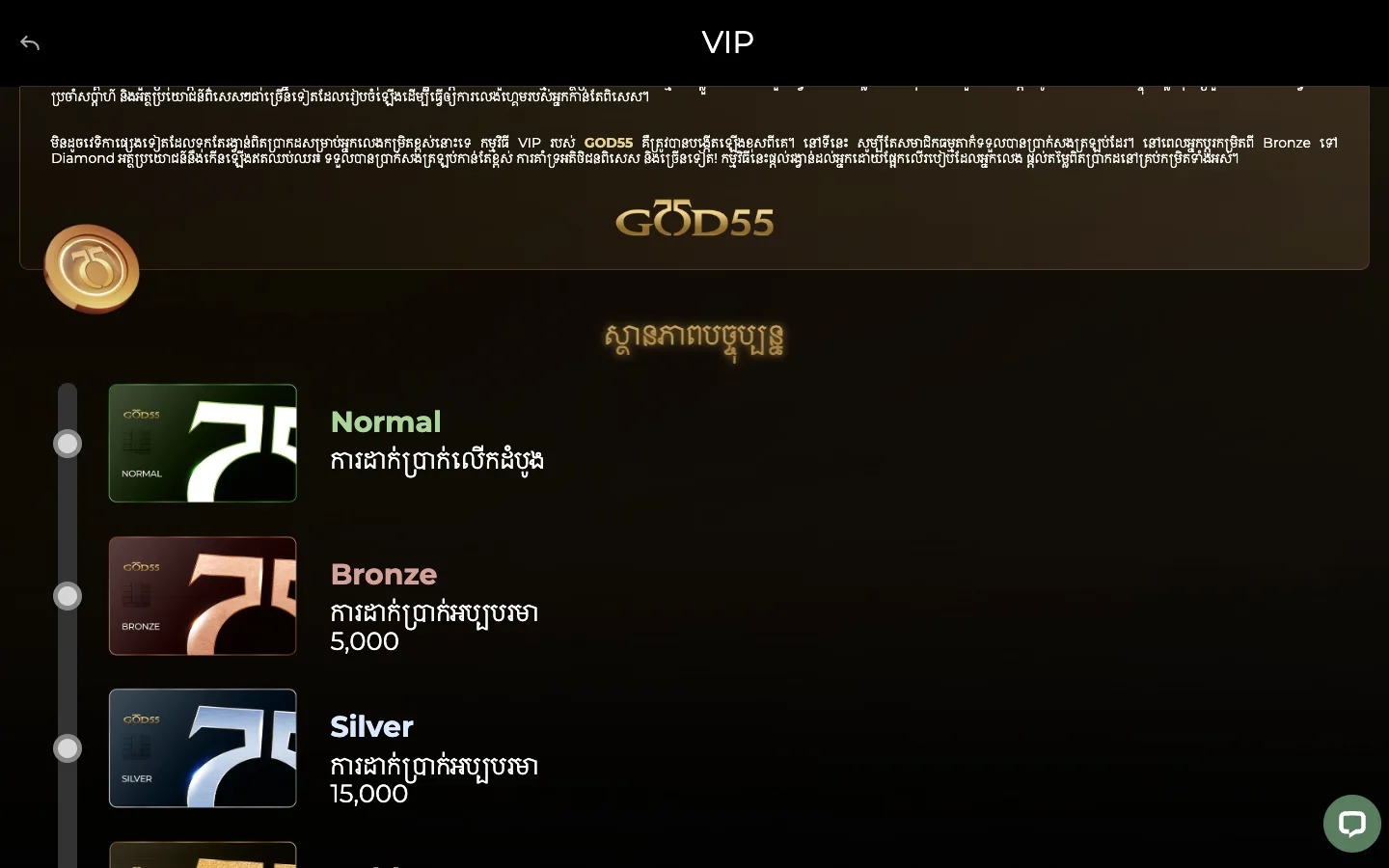 កម្រិត VIP របស់ GOD55 កម្ពុជា៖ Normal, Bronze និង Silver